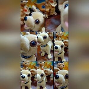 Talking Taco Bell Chihuahua - video clip of "drop the chalupa"